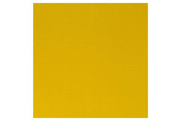 Proff. acrylic 60ml azo yellow medium 019